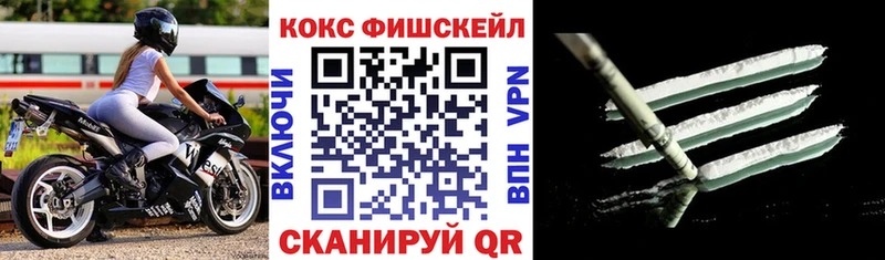 купить наркотики цена  Алатырь  COCAIN 97% 