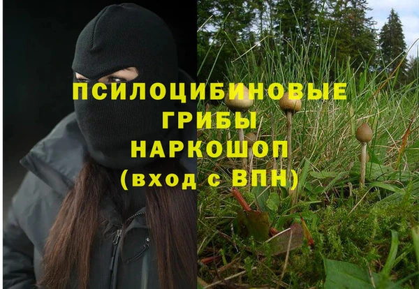 марки nbome Аркадак