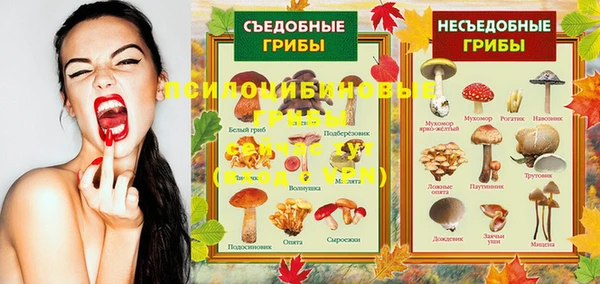 амфетамин Нея